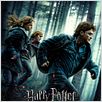 Harry Potter und die Heiligtümer des Todes - Teil 1 : poster