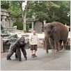Der Zoowärter : photo Frank Coraci, Kevin James