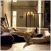 Hangover 2 : photo Bradley Cooper, Ed Helms, Todd Phillips, Zach Galifianakis