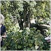 Melancholia : photo Charlotte Gainsbourg, Kirsten Dunst, Lars von Trier