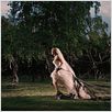 Melancholia : photo Kirsten Dunst, Lars von Trier