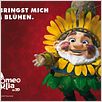Gnomeo und Julia : poster