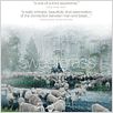 Sweetgrass : poster