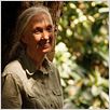 Jane's Journey - Die Lebensreise der Jane Goodall : photo