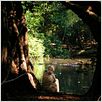 Jane's Journey - Die Lebensreise der Jane Goodall : photo