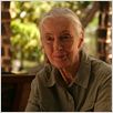 Jane's Journey - Die Lebensreise der Jane Goodall : photo