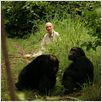 Jane's Journey - Die Lebensreise der Jane Goodall : photo