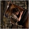 Gefährten : photo Jeremy Irvine, Steven Spielberg