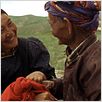 Das Lied von den zwei Pferden : photo Byambasuren Davaa, Chimed Dolgor, Urna Chahar-Tugchi