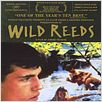 Wilde Herzen : poster