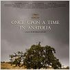 Once upon a Time in Anatolia : poster