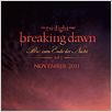 Twilight 4: Breaking Dawn - Bis(s) zum Ende der Nacht (Teil 1) : poster