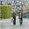 50/50 - Freunde fürs (Über)leben : photo