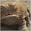 John Carter - Zwischen zwei Welten : photo Andrew Stanton