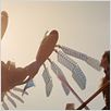 John Carter - Zwischen zwei Welten : photo