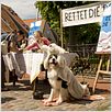 Fünf Freunde : photo Neele-Marie Nickel