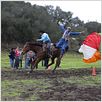Jackass 3.5 - The Uncut Movie : photo