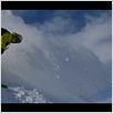 Board or Die : photo