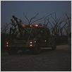Texas Killing Fields - Schreiendes Land : photo