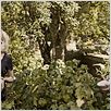 Melancholia : photo Charlotte Gainsbourg, Kirsten Dunst, Lars von Trier