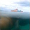 Wiederkehr - My Reincarnation : photo