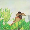 Watership Down : photo