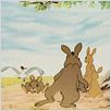 Watership Down : photo