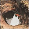 Watership Down : photo