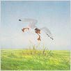 Watership Down : photo