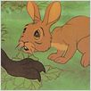 Watership Down : photo