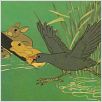 Watership Down : photo