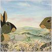 Watership Down : photo