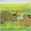 Watership Down : photo
