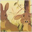 Watership Down : photo