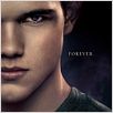 Twilight 4.2: Breaking Dawn - Bis(s) zum Ende der Nacht (Teil 2) : poster Bill Condon, Taylor Lautner