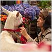 Heiter bis wolkig : photo
