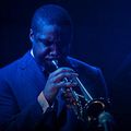 Bilder : Treme