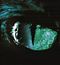 Cats Eye
