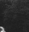 Patrick Perren