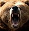 Grizzly