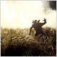 Jeepers Creepers 2 : photo Jonathan Breck, Victor Salva
