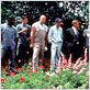 Greenfingers : photo Clive Owen, David Kelly, Joel Hershman