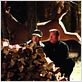 Kiss Kiss Bang Bang : photo Robert Downey Jr., Shane Black, Val Kilmer