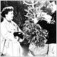 Was der Himmel erlaubt : photo Douglas Sirk, Jane Wyman, Rock Hudson