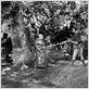 Robin Hood, König der Vagabunden : photo Errol Flynn, Michael Curtiz