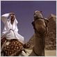 Where In The World Is Osama Bin Laden? : photo Morgan Spurlock