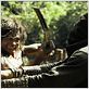 Ong Bak 2 : photo Tony Jaa