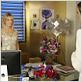 Melrose Place : photo Heather Locklear, Katie Cassidy