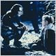 photo Brandon Lee