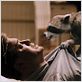 Reine Fellsache : photo Brendan Fraser, Roger Kumble